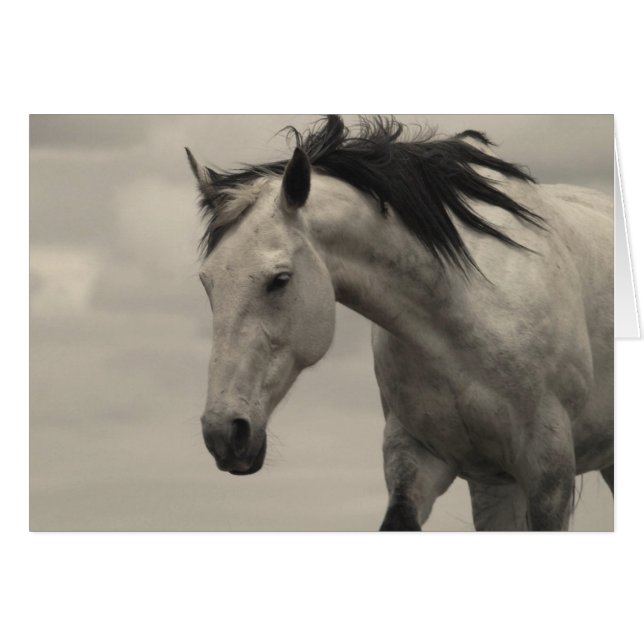 Cartão Cinza Mare (Frente Horizontal)