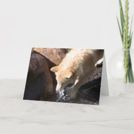 Cartão Cinza Wolf