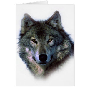 Cartão Cinza Wolf Eyes