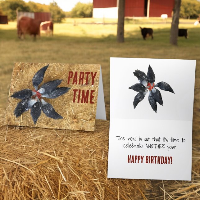 Cartão Círculo de Galinhas Pretas e Brancas Comendo Melan (custom greeting card front and inside)