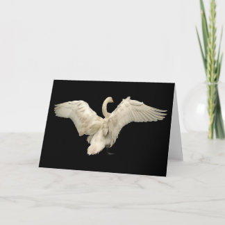 Cartão Cisne