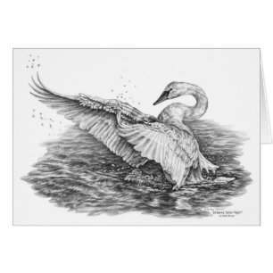 Cartão Cisne branca no desenho da água pela cisne de