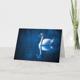 Cartão Cisne branco na placa de aviso de água azul