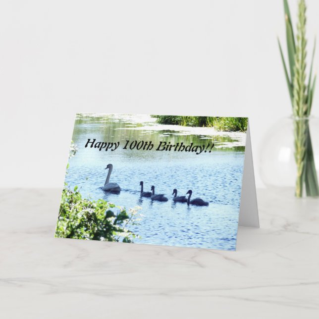 Cartão Cisne com filhotes no rio (Frente)