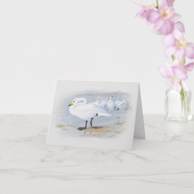 Cartão Cisne de Bewick, ilustração de Birds (Orquídea)
