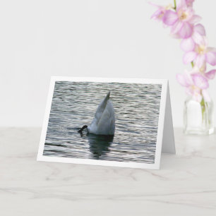 Cartão Cisne de Cabeça para Baixo no Lago