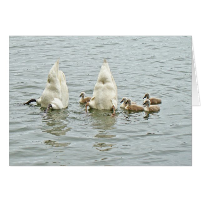 Cartão Cisne muda Famly (Frente Horizontal)