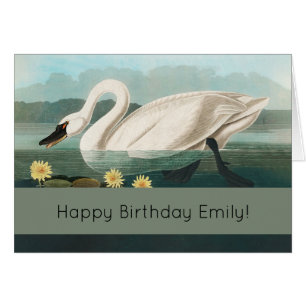 Cartão cisnes brancas de pássaro de audubon do cisne