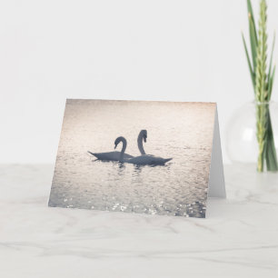 Cartão Cisnes de Corte