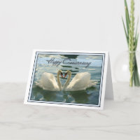 Cisnes do aniversário