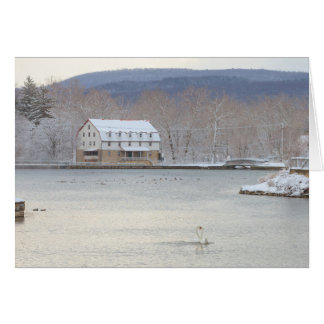 Cartão Cisnes na lagoa com moinho e colinas