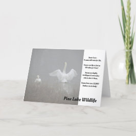 Cartão Cisnes no lago Pine