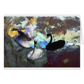 Cartão Cisnes que nadam