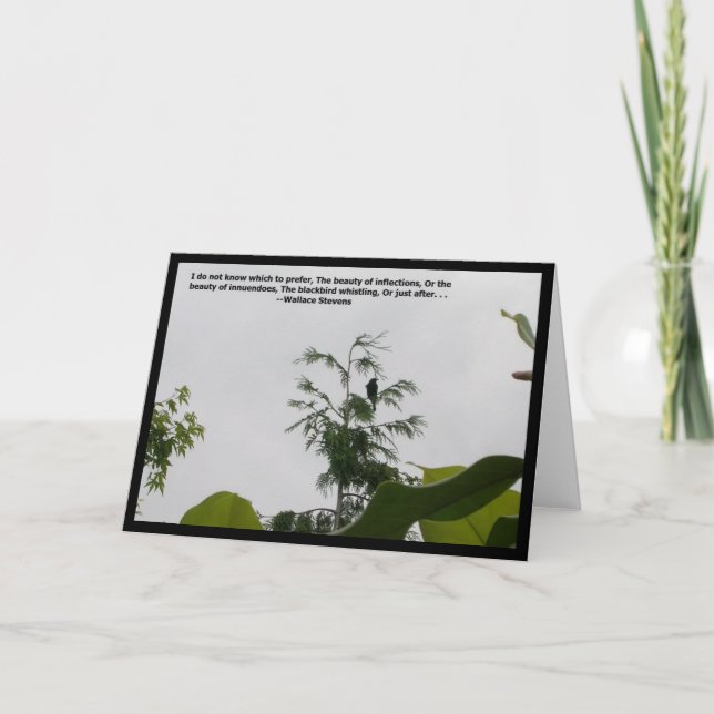 Cartão Citação do Blackbird (Frente)