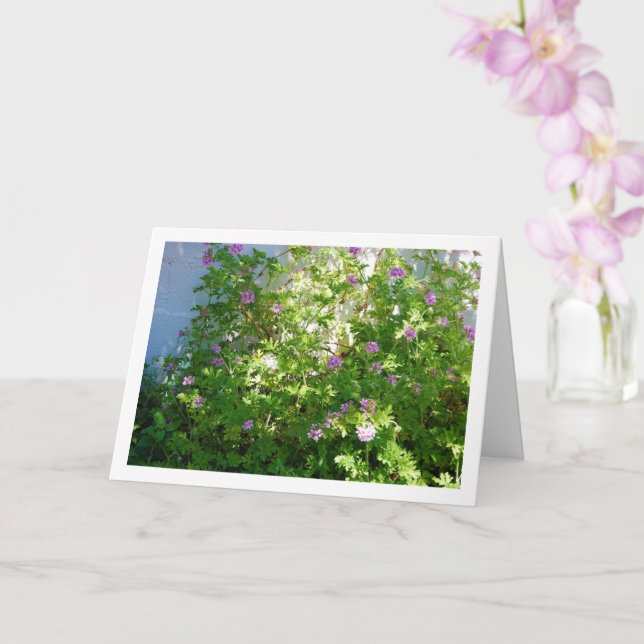 Cartão Citronella Plant com Floral (Orquídea)