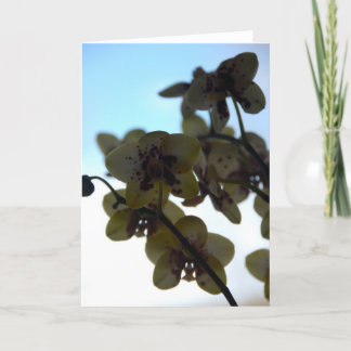 Cartão Clair de Fleur