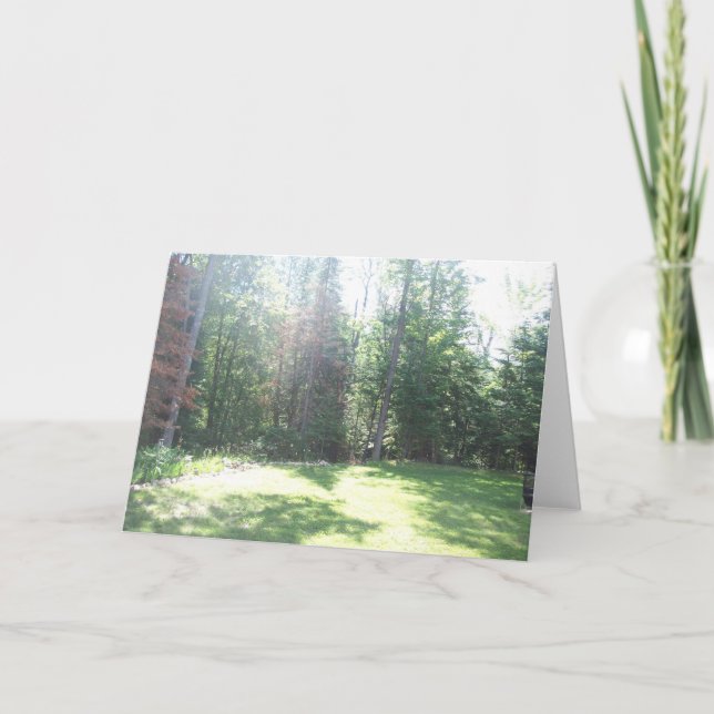 Cartão claro da manhã (Frente)