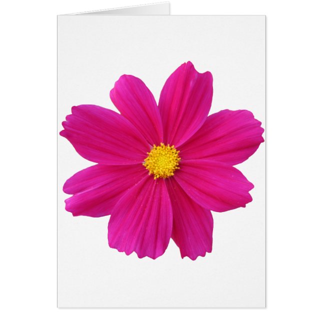 Cartão Clean.png (Frente)