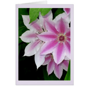 Cartão Clematis