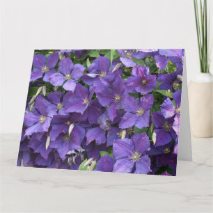 Cartão Clematis