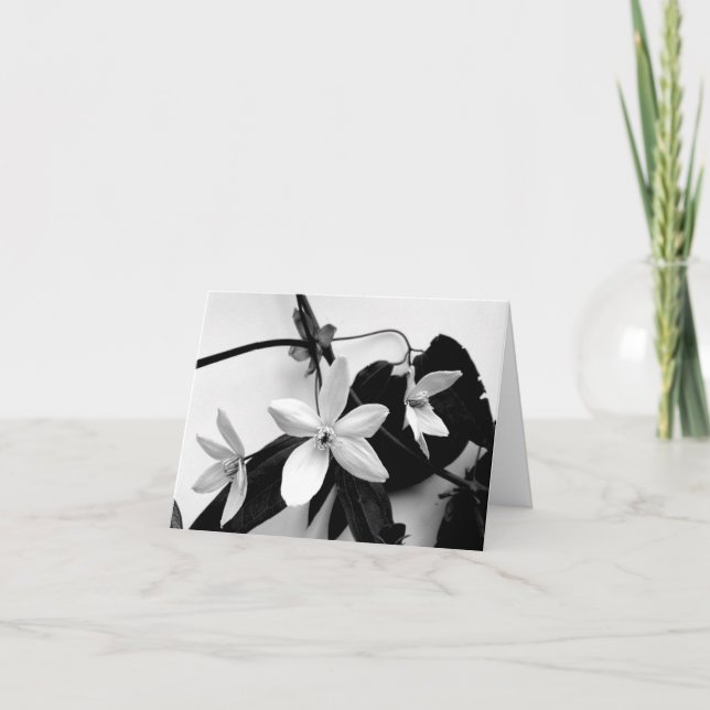 Cartão Clematis em Notecard monocromático (Frente)