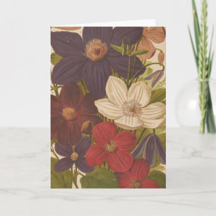 Cartão Clematis   George Nicholson