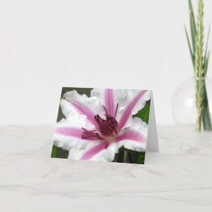 Cartão Clematis Note Card