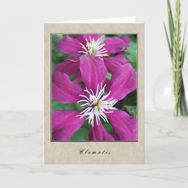 Cartão Clematis - série floral (Frente)