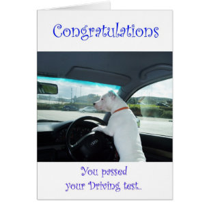 Cartão Cleo passou o teste de condução