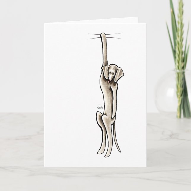 Cartão Clingy Weimaraner (Frente)