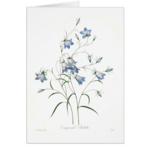 Cartão Clochette do Campanula