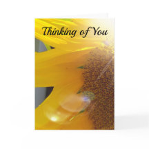 Close Up de Girassol Amarelo