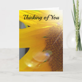 Cartão Close Up de Girassol Amarelo