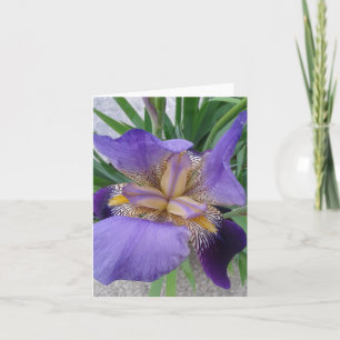 Cartão Close up of Blooming Iris Flower