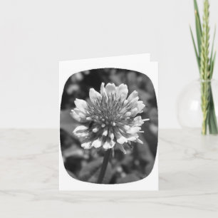 Cartão Clover note card