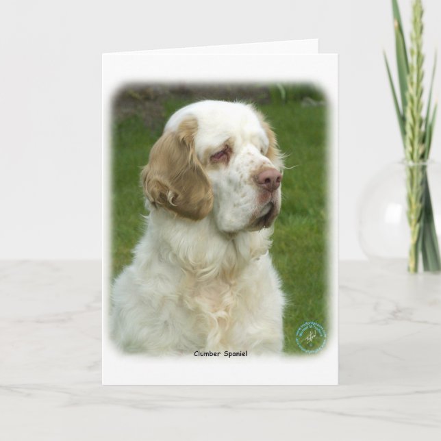 Cartão Clumber Spaniel 9Y003D-101 (Frente)