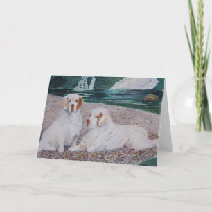 Cartão Clumber Spaniel - Pebble Beach Greeting Card