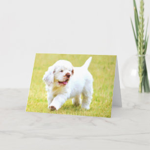 Cartão Clumber Spaniel Puppy Greeting Cards