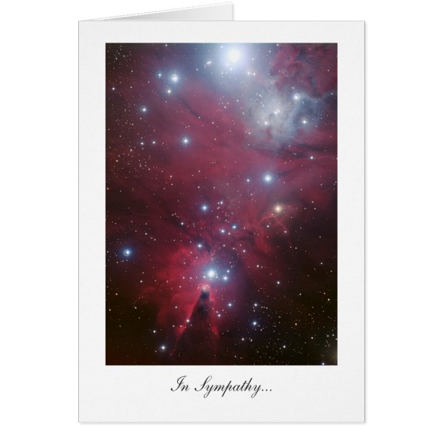 Cartão Cluster de Árvore de Natal - Em Simpatia (Frente)