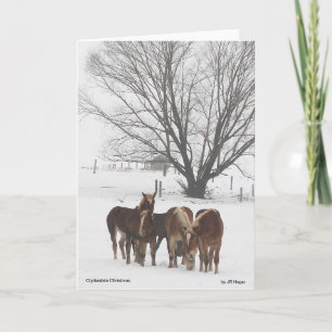Cartão Clydesdale Christmas