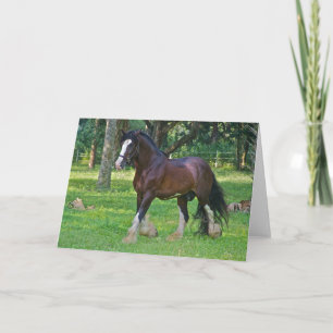Cartão Clydesdale Horse