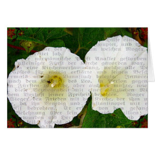 Cartão Coalhada de Campo