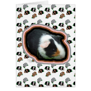 Cartão Cobaias