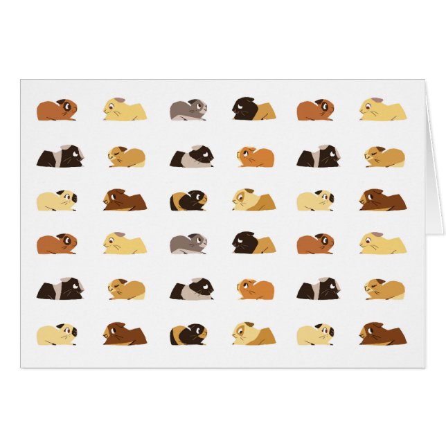 Cartão Cobaias (Frente Horizontal)