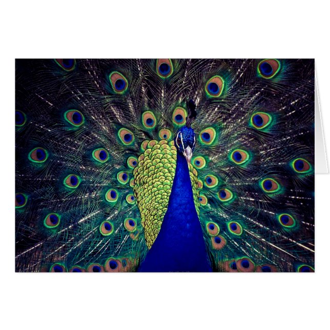 Cartão Cobalto Blue Peacock (Frente Horizontal)