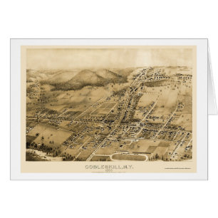 Cartão Cobbleskill, mapa panorâmico de NY - 1883