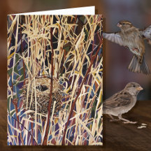 Cobertor de Ninho de Vida Selvagem