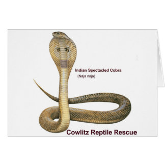 Cartão Cobra