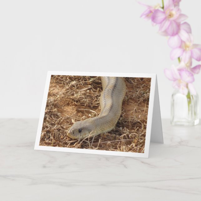 Cartão Cobra para Escada (Orquídea)