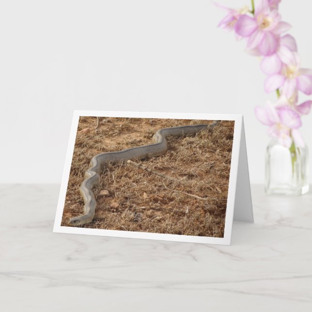 Cartão Cobra para Escada (Orquídea)